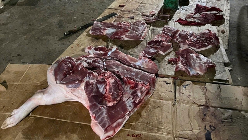 Thịt nhiễm tả lợn châu Phi có phân biệt được không?-3