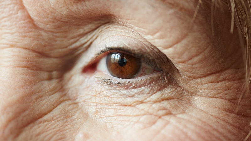 thoai-hoa-diem-vang-macular-degeneration-la-gi 1