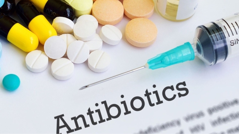 Không nên tự ý dùng kháng sinh