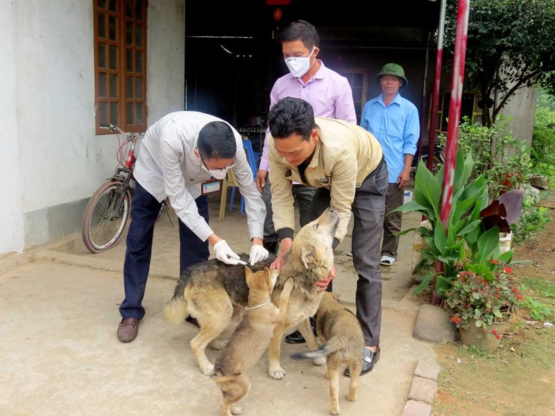 thời gian ủ bệnh dại ở người 4
