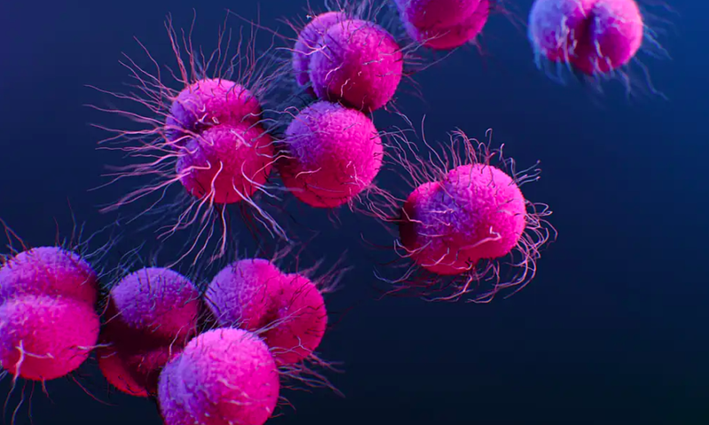 Thời gian ủ bệnh lậu là bao lâu? 1