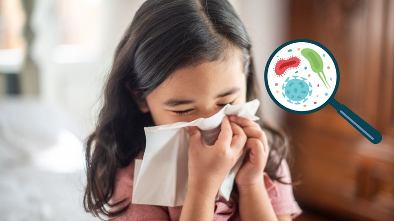 Thời gian ủ bệnh viêm màng não mô cầu là bao lâu 2