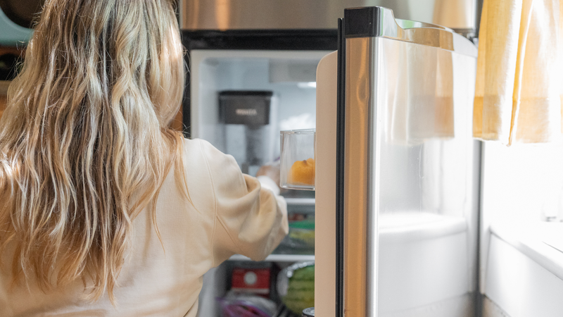 Tủ lạnh chỉ làm chậm quá trình phát triển của vi khuẩn và nấm mốc