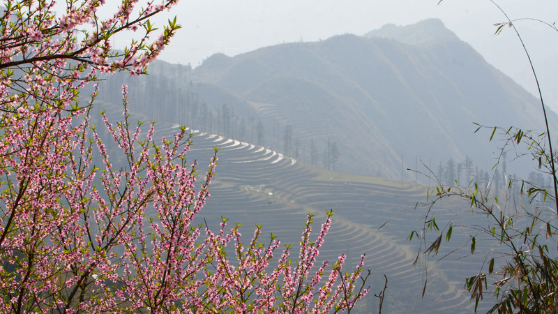 Mùa đông - xuân là giai đoạn dễ bùng phát dịch bệnh vì thời tiết lạnh, ẩm, nồm