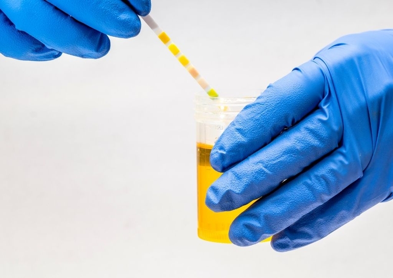 Thử que rụng trứng khi nào thì quan hệ được để thụ thai và tránh thai hiệu quả 2