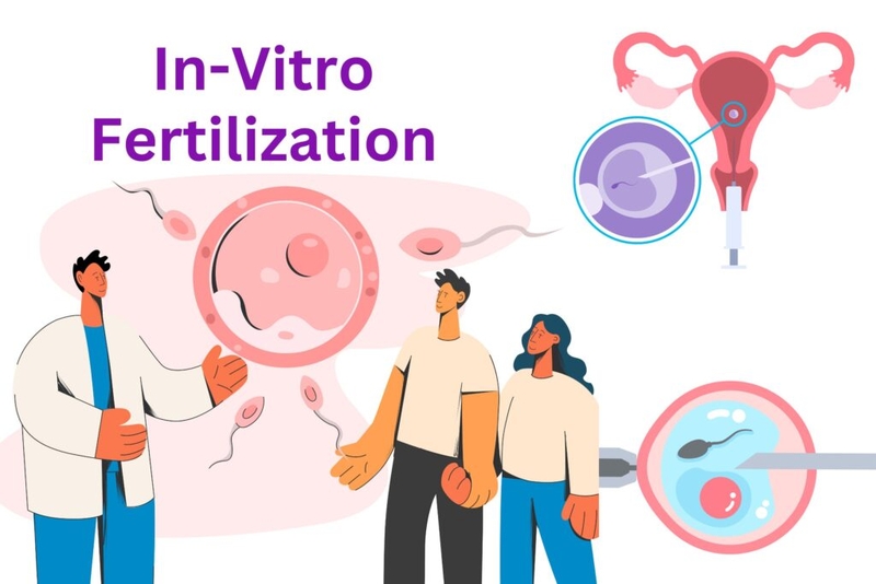 Thụ tinh ống nghiệm (IVF): Niềm hy vọng cho các cặp vợ chồng hiếm muộn 1