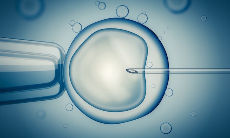 Thụ tinh ống nghiệm (IVF): Niềm hy vọng cho các cặp vợ chồng hiếm muộn 4