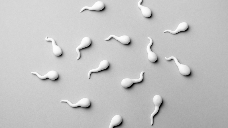 Nam giới có tinh trùng yếu hoặc ít vẫn có thể thụ thai nhờ IVF kết hợp ICSI