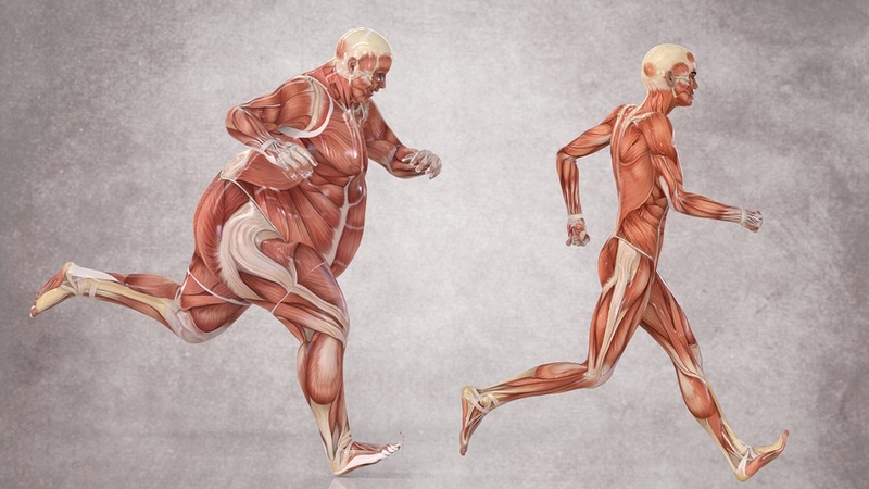 Thừa cân có thể làm tăng nguy cơ mắc ung thư 3