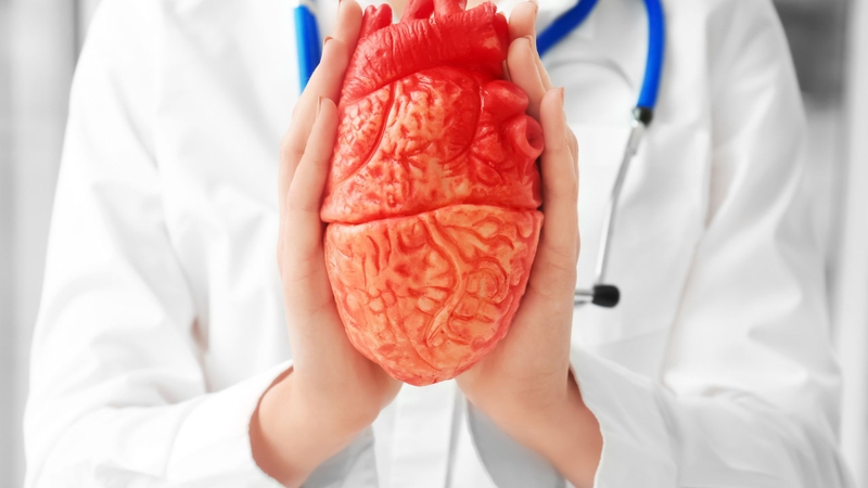 Thế nào là thừa cholesterol và thừa cholesterol gây ra tác hại gì? 2