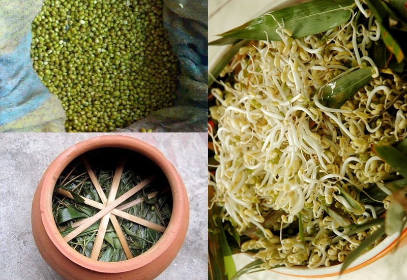 Giá đỗ là 1 loại thực phẩm tốt cho thận và nam giới