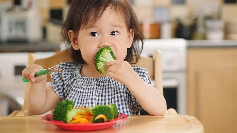 Thực đơn 30 ngày ăn dặm kiểu Nhật và những lưu ý cho trẻ ăn dặm 1