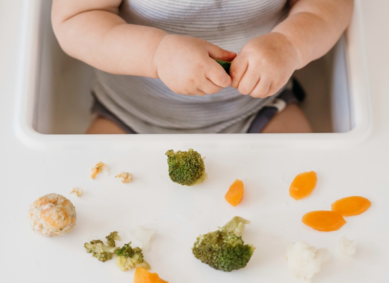 Thực đơn ăn dặm BLW cho bé 9 tháng hấp dẫn và kích thích ăn uống 1