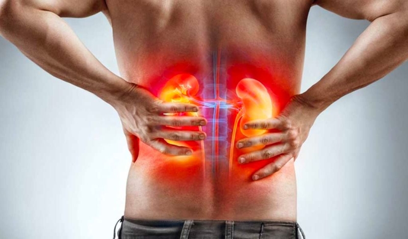 Thực đơn cho người suy thận độ 4 khoa học và lành mạnh 1