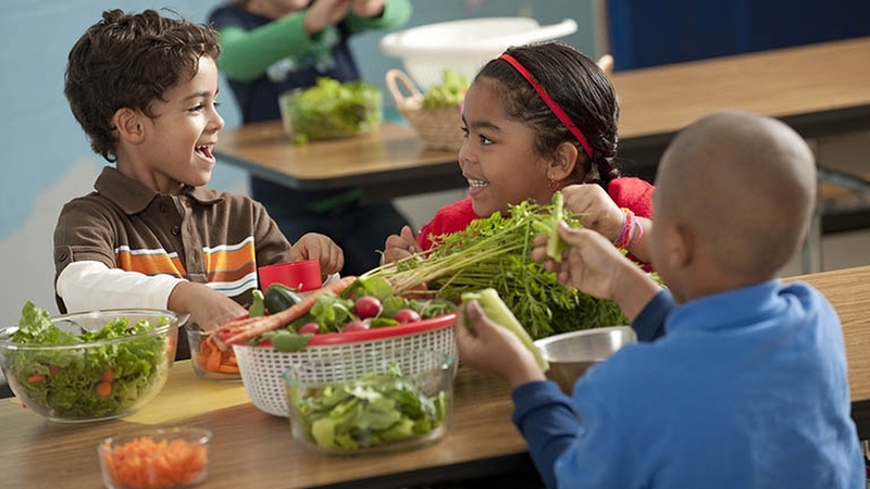 Thực đơn cho trẻ bị hội chứng thận hư mà mẹ nên biết - Hình 2