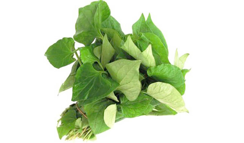 Rau diếp cá là thực phẩm có tính mát, giúp trị nóng trong người và ngăn ngừa táo bón hiệu quả