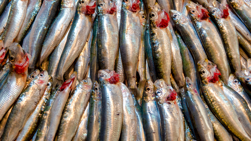 Thực đơn vàng: Danh sách 9 thực phẩm giàu omega-3 cho trái tim khỏe mạnh 2