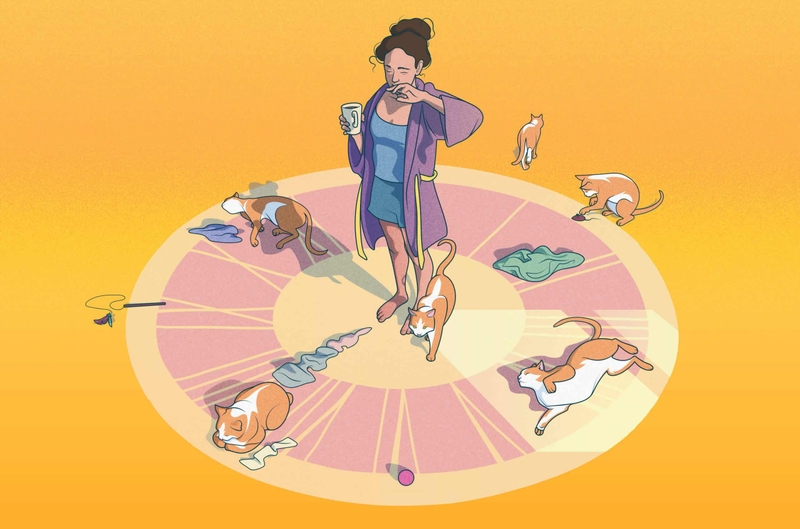 Thực hiện giấc ngủ đa pha có tốt cho sức khoẻ?-1