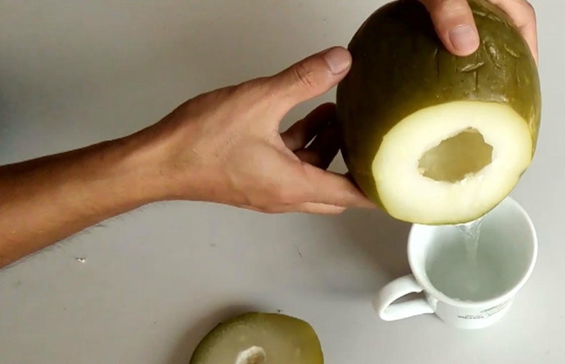 Thực hư chữa thoát vị đĩa đệm bằng quả đu đủ 2