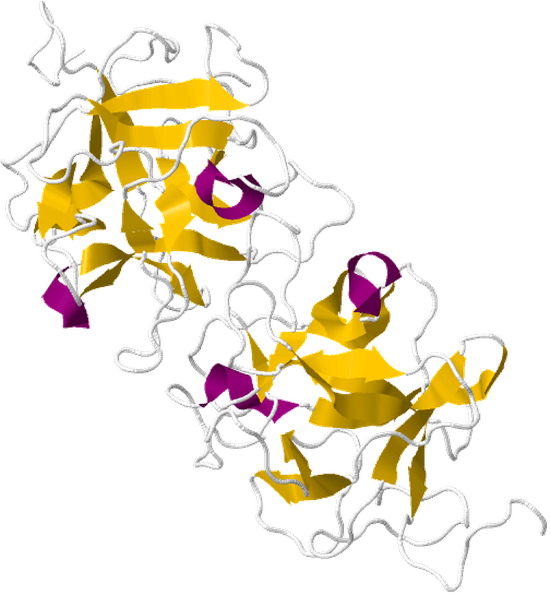 Thực hư về việc ăn trái thần kỳ uống rượu không say? 2