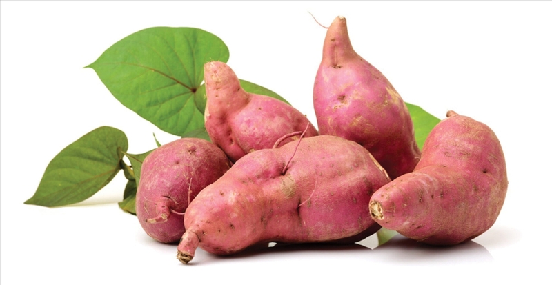 Thực hư việc ăn khoai lang trị táo bón - 2