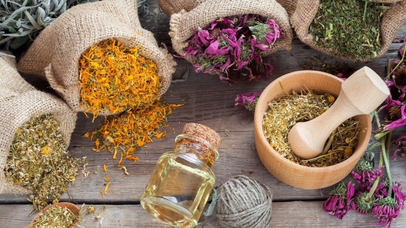 Giải đáp: Uống thuốc nam nhiều có hại thận không? 1