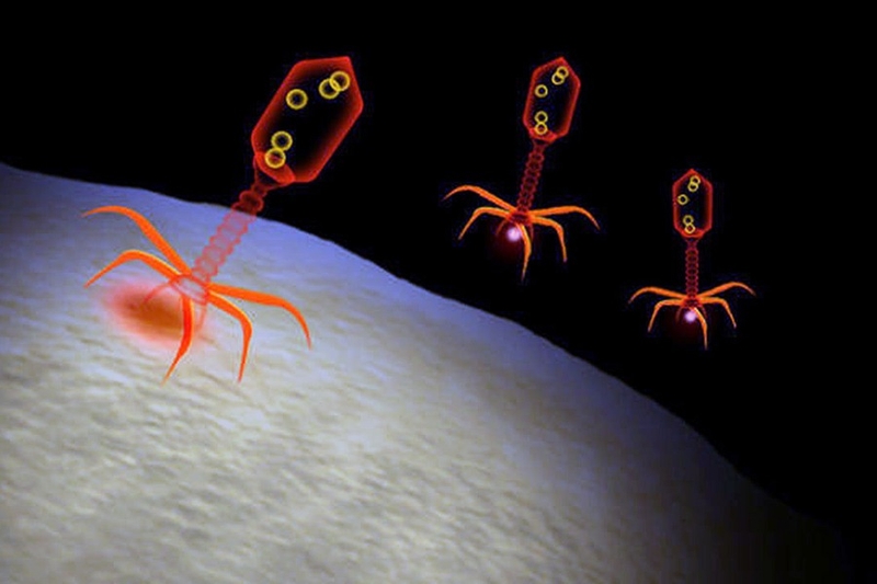 thuc-khuan-the-la-gi-tim-hieu-ve-thuc-khuan-the 2.jpg