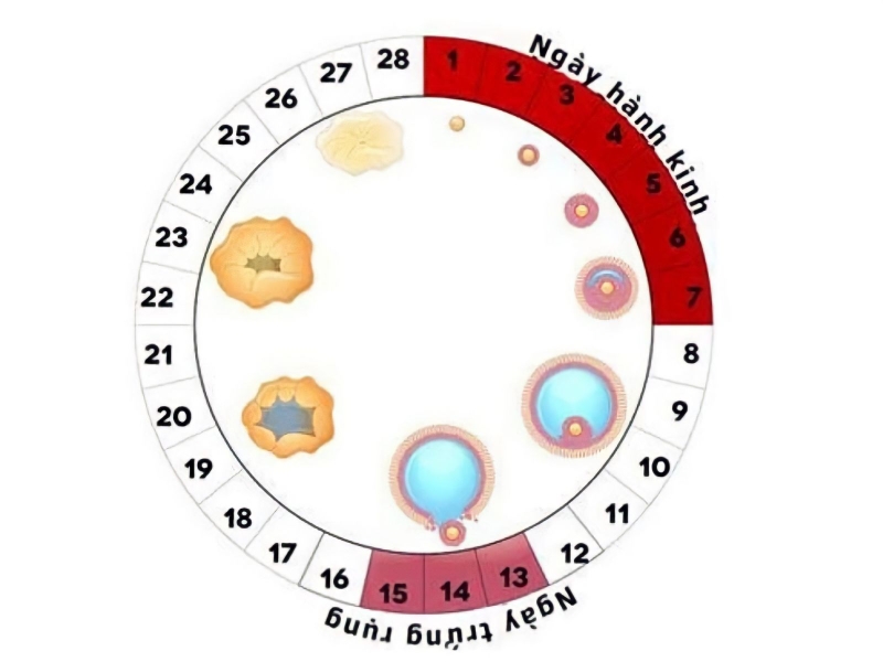 Thức khuya có làm trễ kinh không? 1