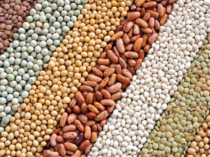 thực phẩm cho người hạ đường huyết 01