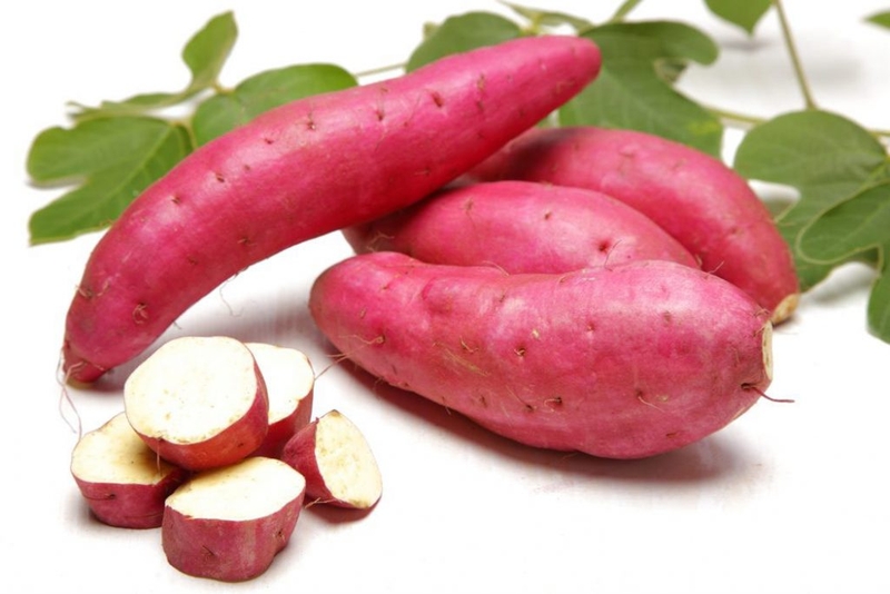 Danh sách 8 loại thực phẩm cho người tiểu đường đến từ thiên nhiên 3