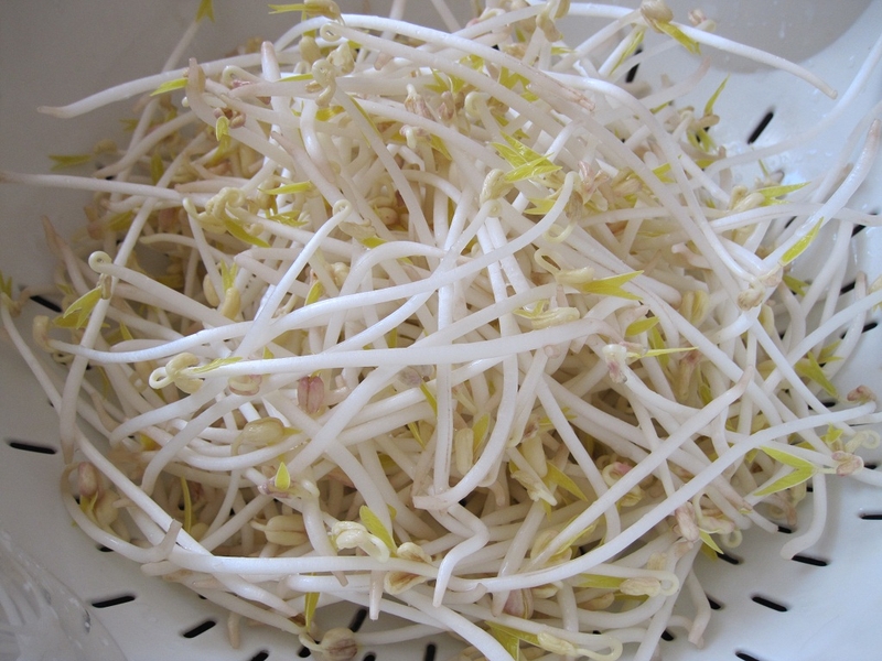 Bỏ túi 14 loại thực phẩm chống ung thư dạ dày 2