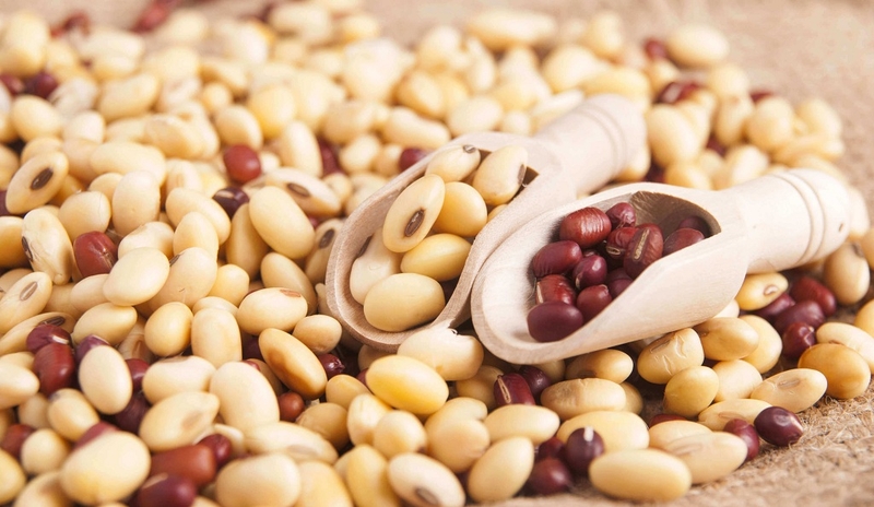 List các loại thực phẩm có chứa nhiều đạm thực vật 2