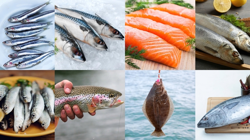 Thực phẩm giàu collagen giúp tóc mọc nhanh, chắc khỏe2