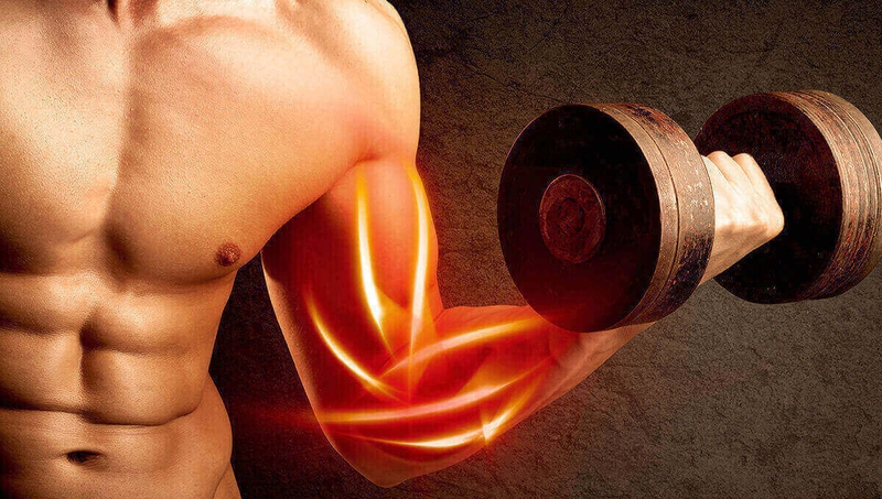 Các loại thực phẩm giàu Glutamine mà bạn cần biết 2