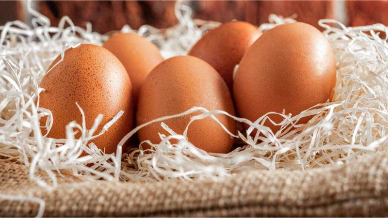 Thực phẩm giàu kẽm giúp tóc khỏe mạnh mọc nhanh 1