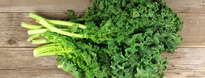 Thực phẩm giúp tiêu hóa nhanh, hỗ trợ tiêu hóa cực hiệu quả-3