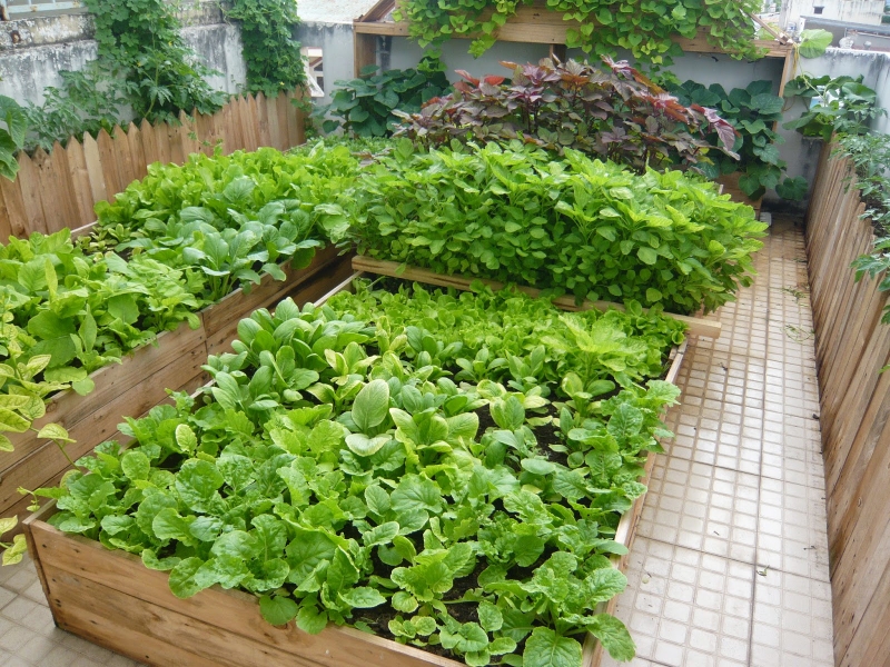 Ghi nhớ để bổ sung 7 thực phẩm tốt cho xương này vào thực đơn nhé