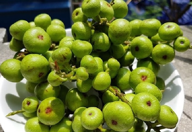 Ăn gì để xương khớp chắc khỏe? Đừng bỏ qua những thực phẩm này 2