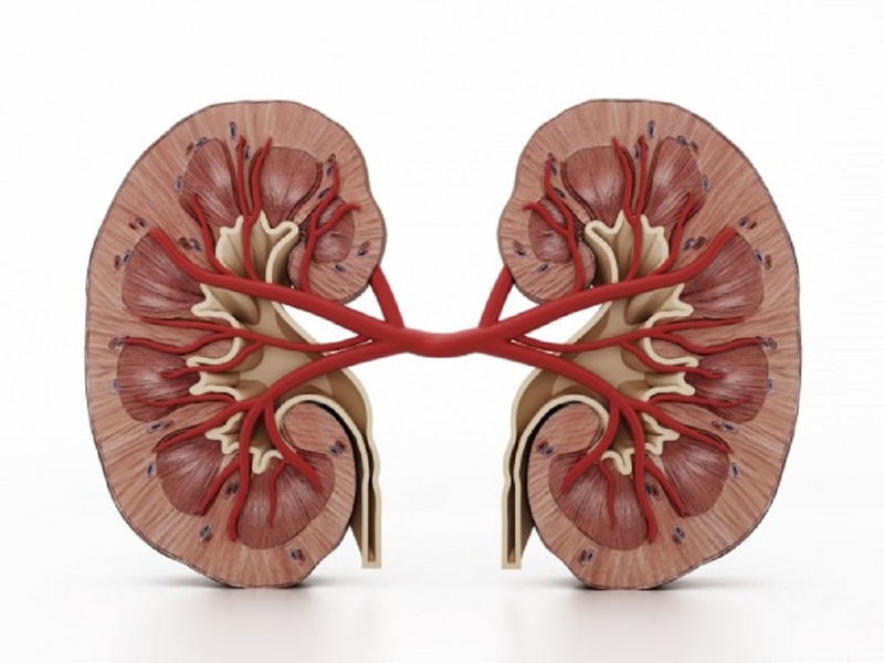 Thuốc bổ thận tráng dương và những điều cần lưu ý gì khi sử dụng 1