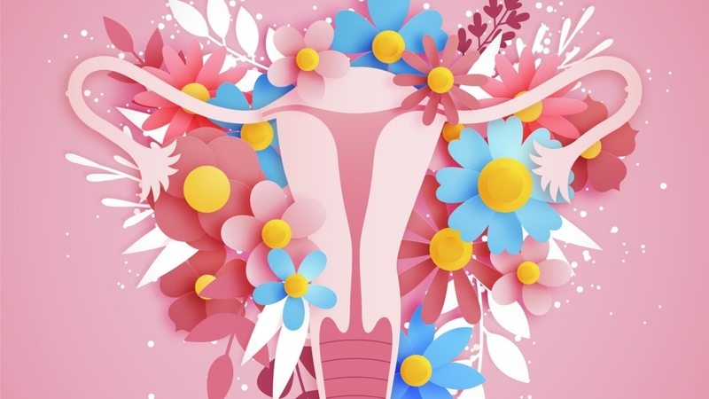 Thuốc bổ trứng: Giải pháp tối ưu cho sức khỏe sinh sản nữ giới 1