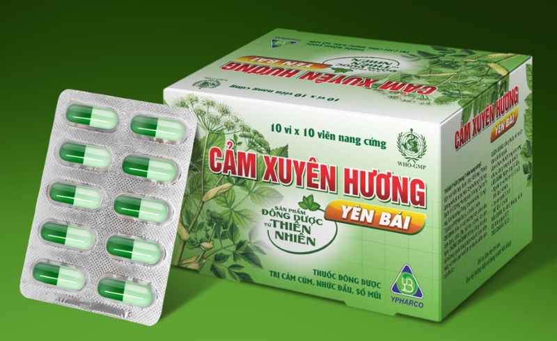 Thuốc cảm Xuyên Hương có dùng được cho bà bầu không? Bà bầu nên làm gì nếu bị cảm? 1