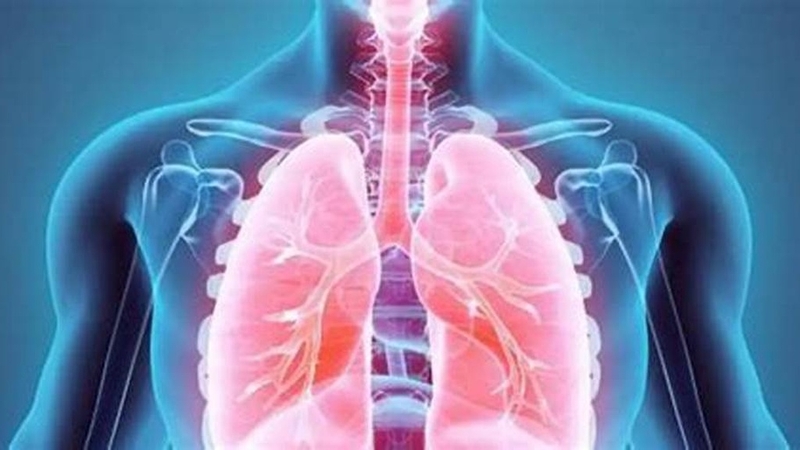 Thuốc chống xơ phổi: Hiểu rõ về lợi ích và tác dụng phụ của thuốc 1