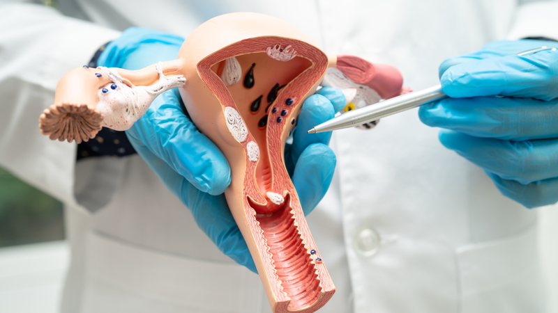 Thuốc đặt phụ khoa là gì? Top 10 thuốc đặt phụ khoa phổ biến 8