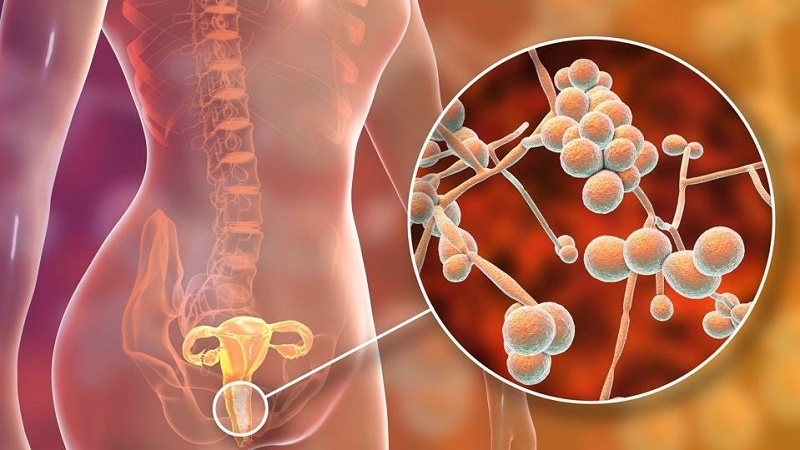 Thuốc đặt Poanvag là gì? Làm sao để sử dụng thuốc đặt Poanvag an toàn và hiệu quả? 2