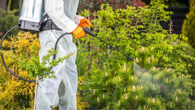 Thuốc diệt cỏ sinh học vẫn có thể gây ảnh hưởng nhất định đến sức khỏe