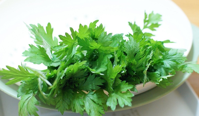 Thuốc đông y chữa bệnh viêm mũi dị ứng hiệu quả 3