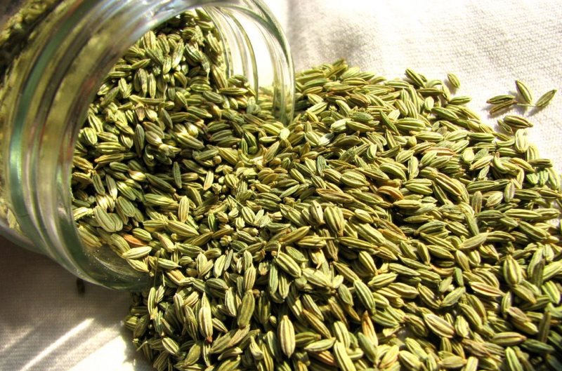 Những bài thuốc đông y chữa đau mắt đỏ đơn giản tại nhà 3