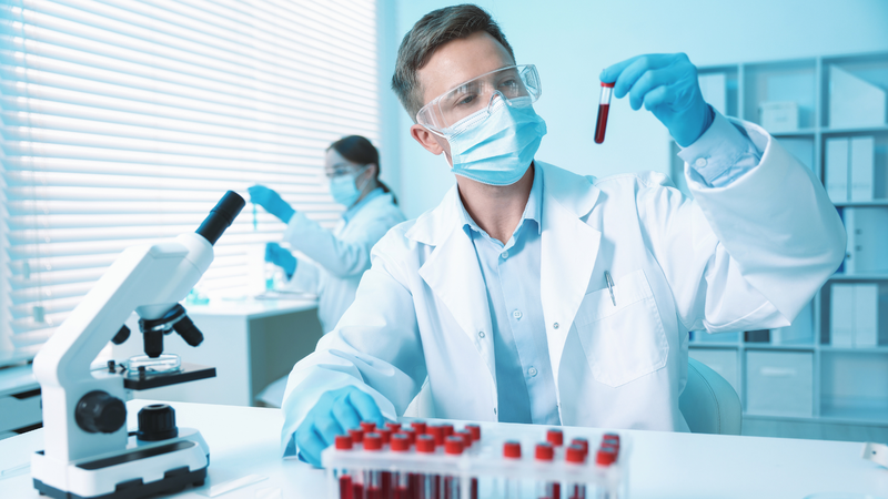 Thuốc GLP-1 có thể cải thiện lưu lượng máu đến tim của chuột trong nghiên cứu