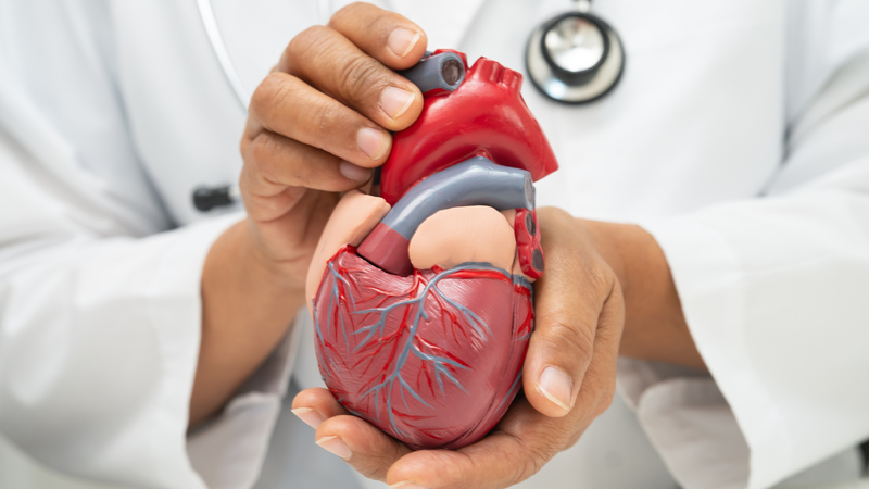 Thuốc GLP-1 có thể giúp giảm tổn thương tim và cải thiện khả năng phục hồi sau nhồi máu cơ tim