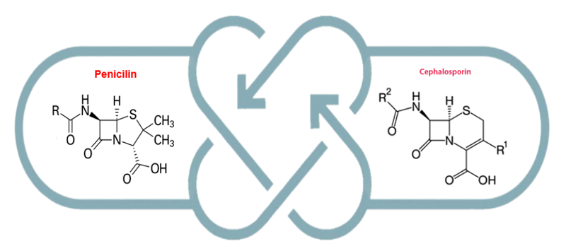 Thuốc kháng sinh cho trẻ em bị viêm họng do nhiễm khuẩn 5